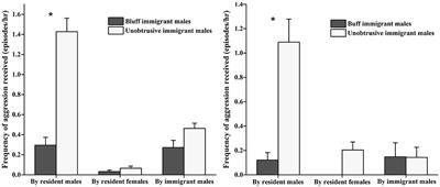 Variation of social strategies between bluff and unobtrusive immigrant males during integration into a new social group: a case study in Macaca thibetana